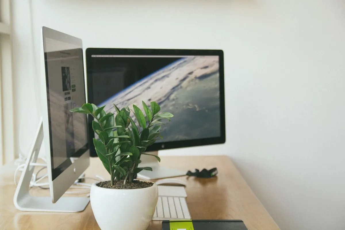 7 Dicas de gerenciamento de projetos para freelancers