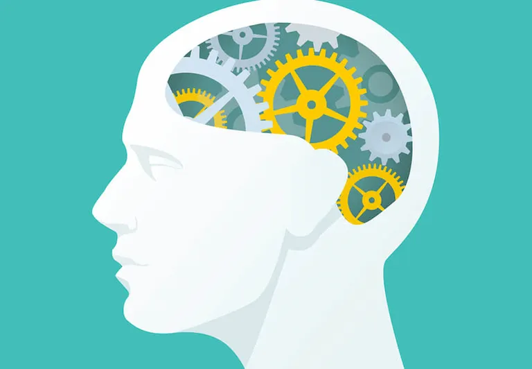 Como ser autodidata e aprender a pesquisar