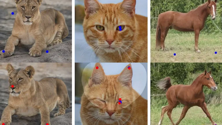 DragGAN: Uma nova era na edição de imagens?