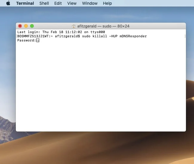 dns flush no terminado do mac