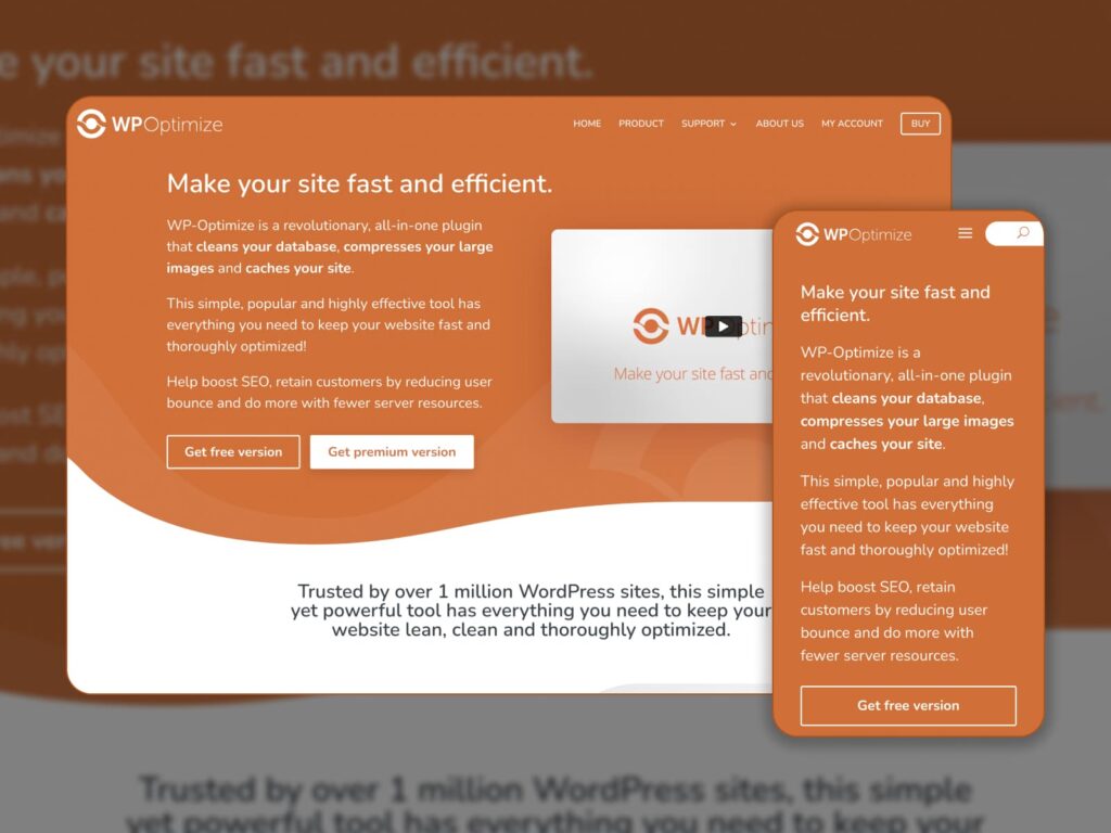 wp optimize