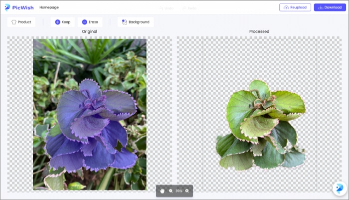 Removendo o fundo de uma imagem de planta no picwish