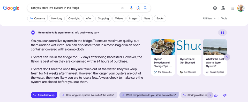 A parte superior de uma nova busca do Google com inteligência artificial que está sendo testada.