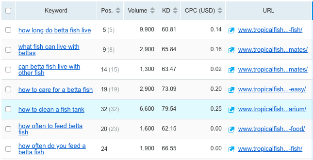otimizando os filtros de calda longa no semrush