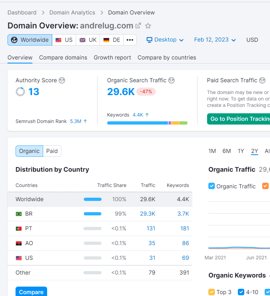 Visão geral de um domínio específico no semrush
