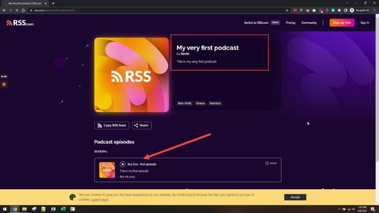 experiência do usuário no rss.com