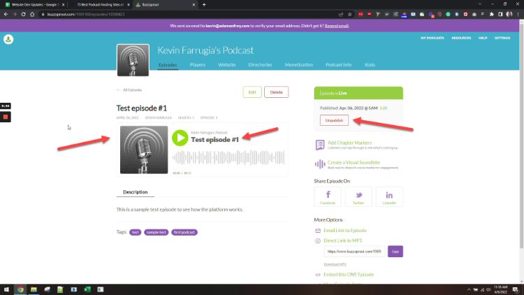 recursos únicos do buzzsprout